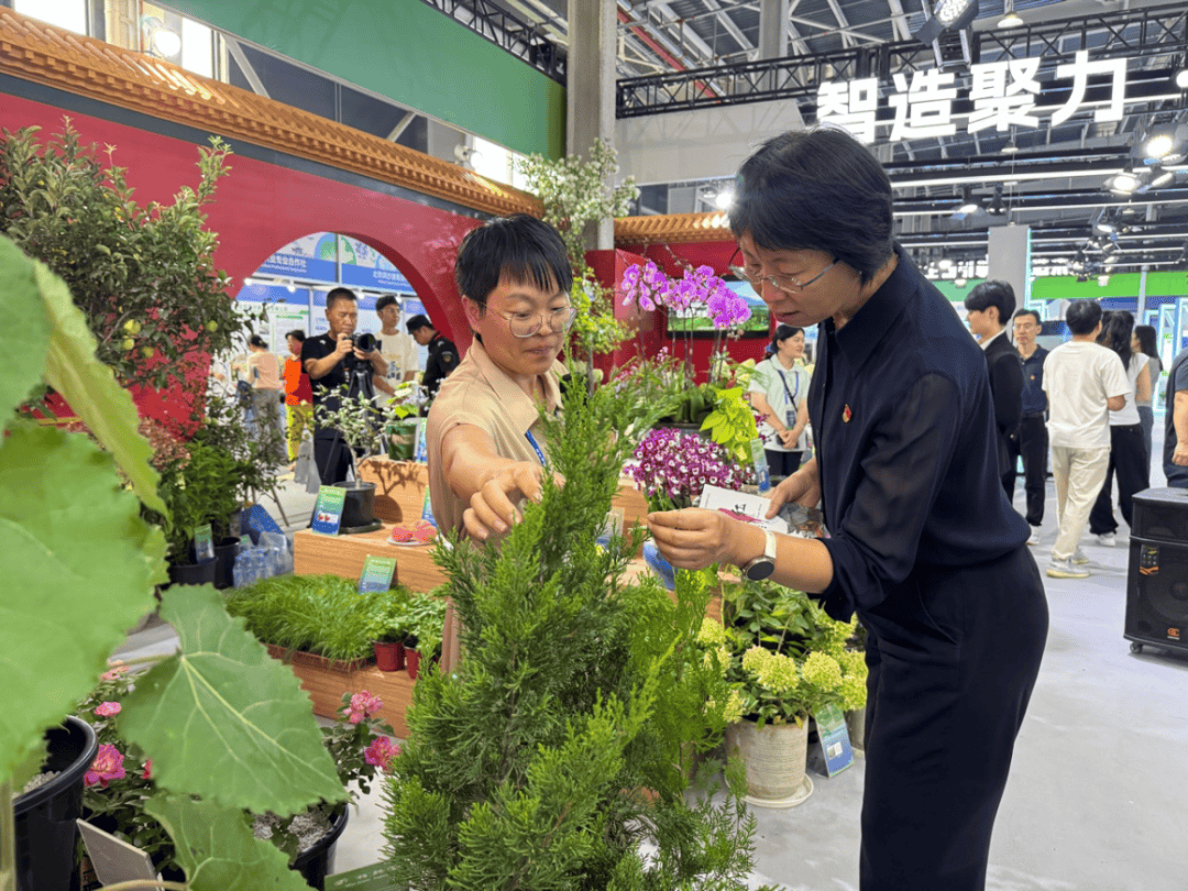 北京市統計局局長李素芳赴通州調研種業與現代農業發展，強調科技賦能與數據支撐