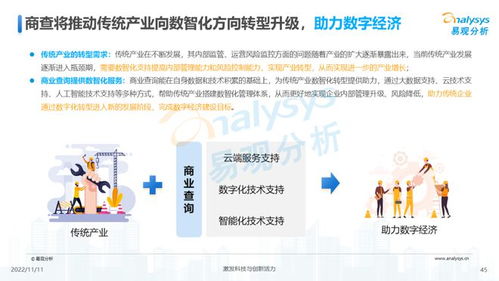 透視用戶需求深挖服務(wù)潛力 2022中國(guó)商業(yè)查詢行業(yè)洞察